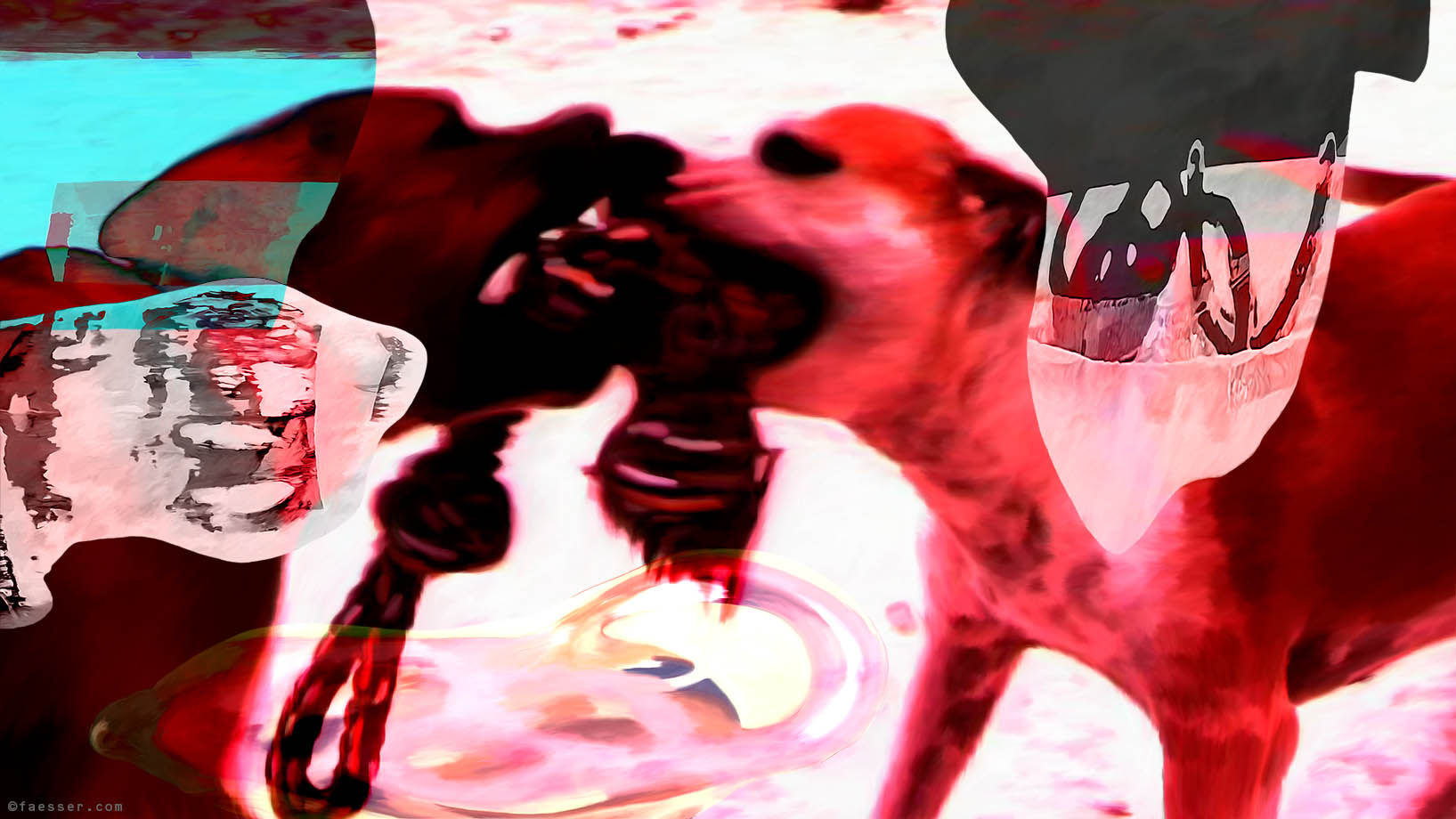 Two dogs fighting for a rope; artist Roland Faesser, sculptor and painter 2015