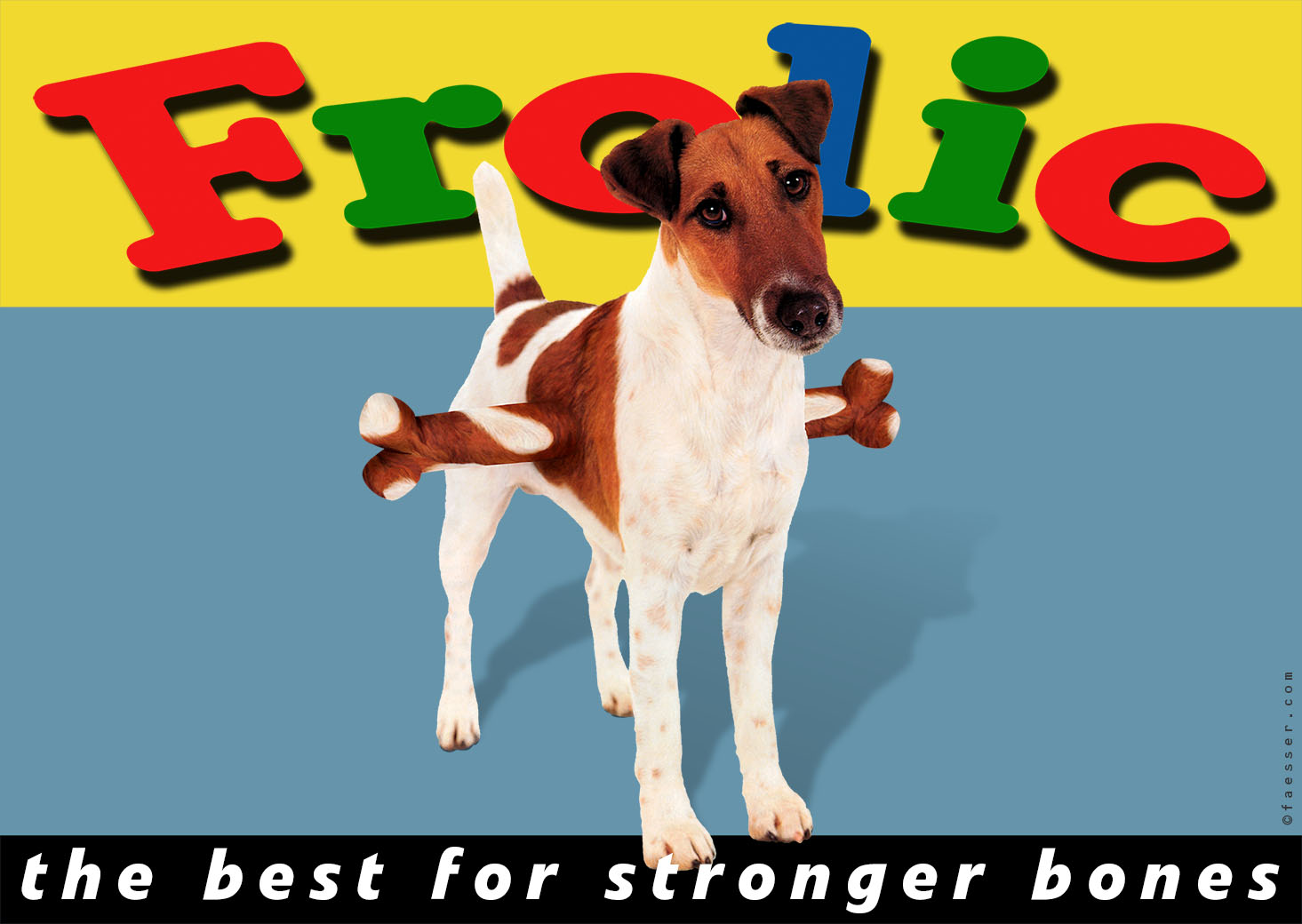 Sweet dog with a bone trough his body, promotes for strong food; artist Roland Faesser, sculptor and painter 2003