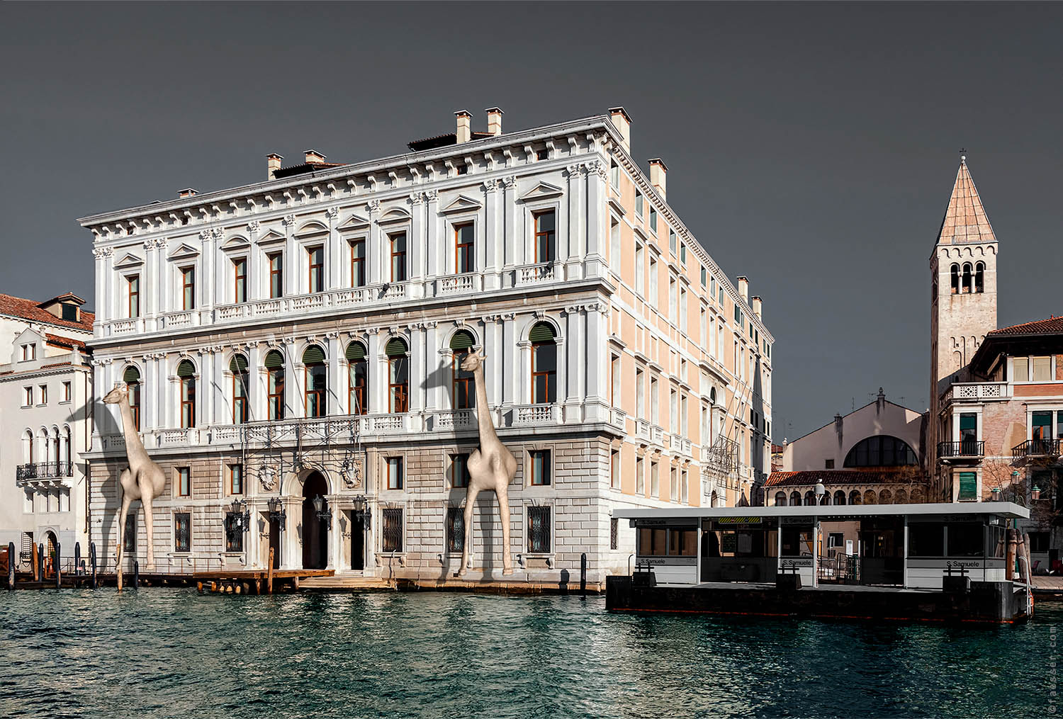Two giraffes on the main facade protecting the Palazzo Grassi in Venice; artist Roland Faesser, sculptor and painter 2020