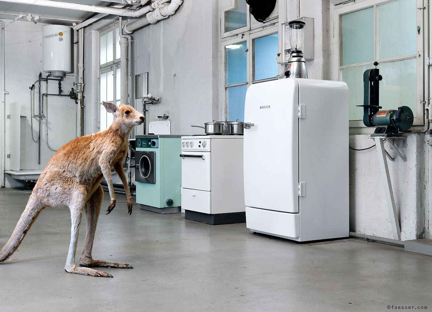 My roommate kangaroo is strolling in my Zurich studio; work of art as figurative sculpture; artist Roland Faesser, sculptor and painter 2017